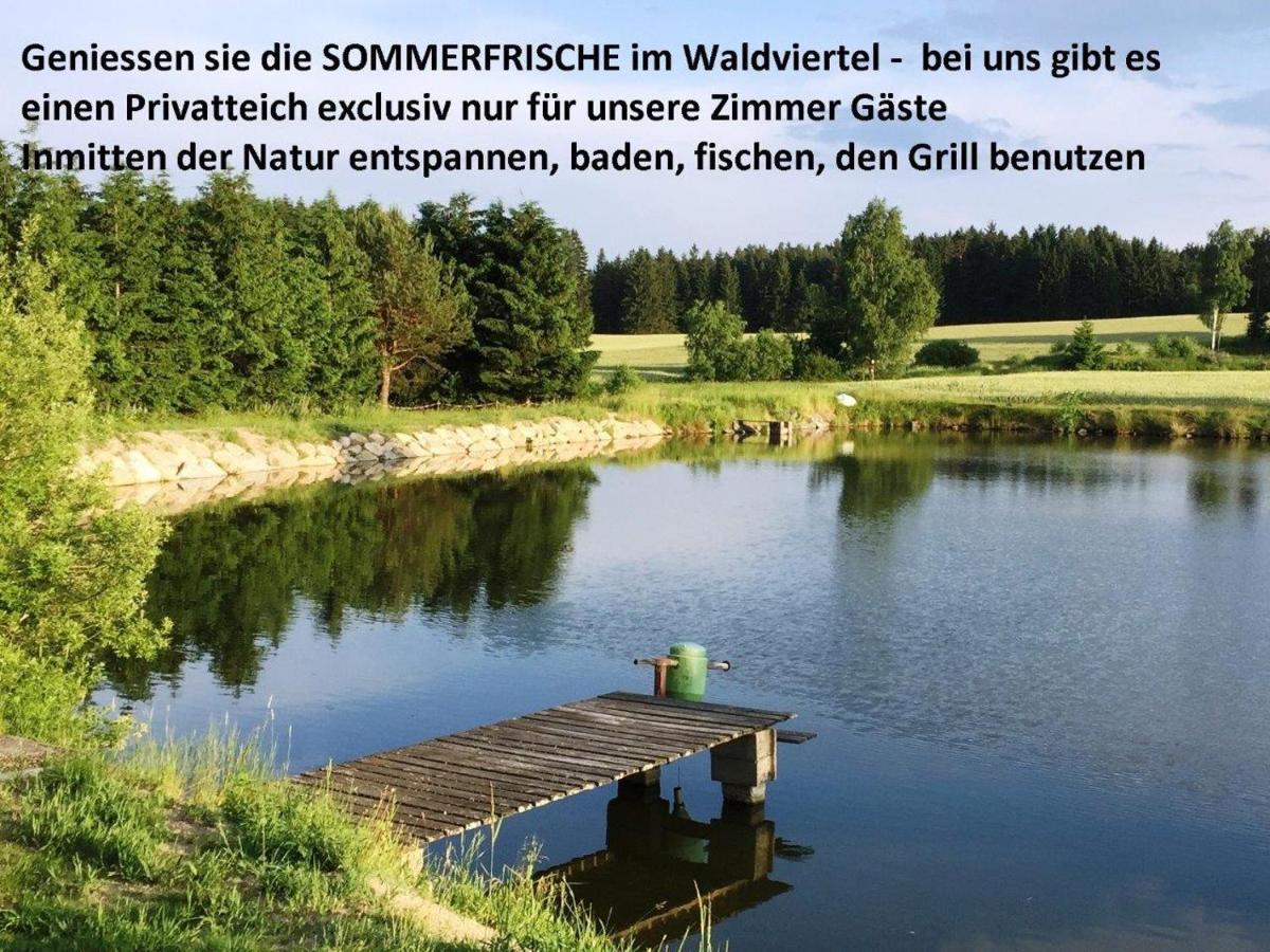 Sommerfrische Waldviertel Kirchberg am Walde Exteriör bild
